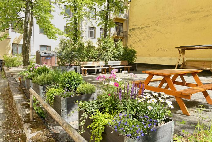 Fleminginkatu 20 A – photo 3